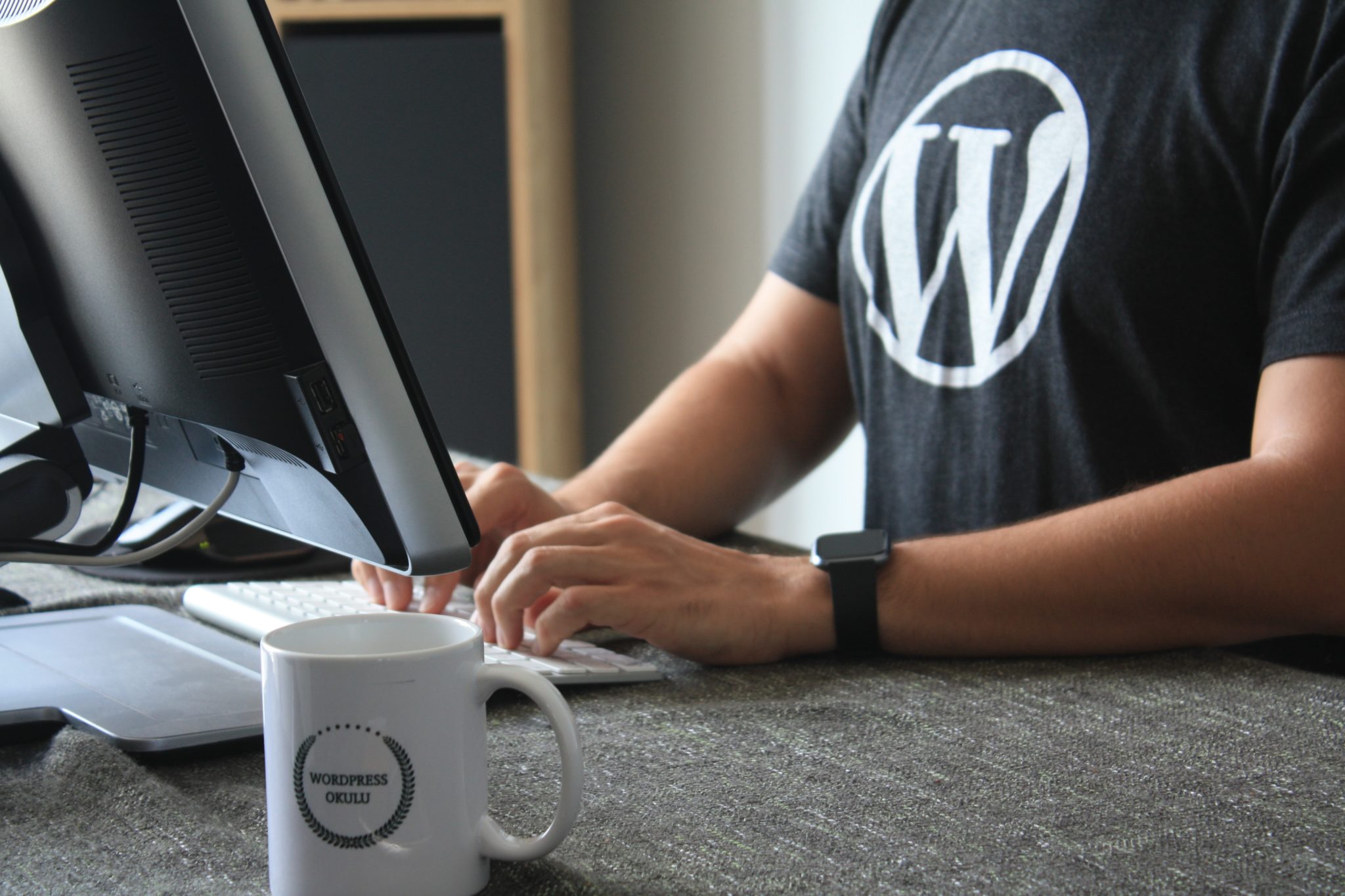 WordPress Developer At Work