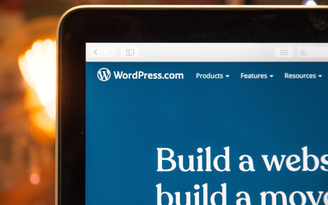 WordPress 100 Year Domain Names